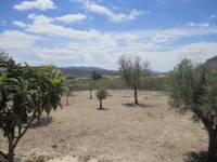 Venta - Chalet - La Romana - ALCANÁ