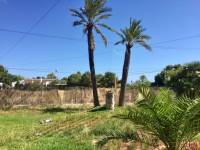 Venta - Chalet - Elche  - Perleta