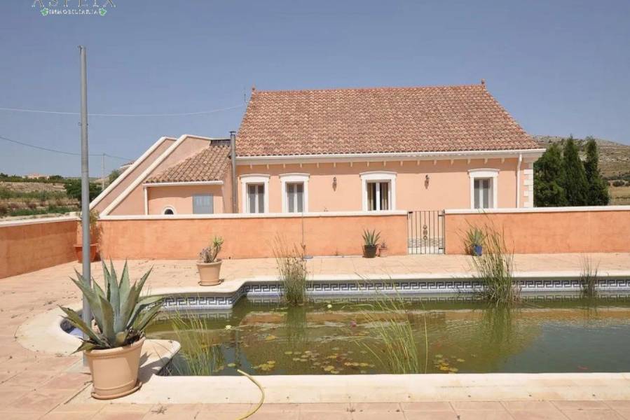 Re-sale - Country house - Pinoso