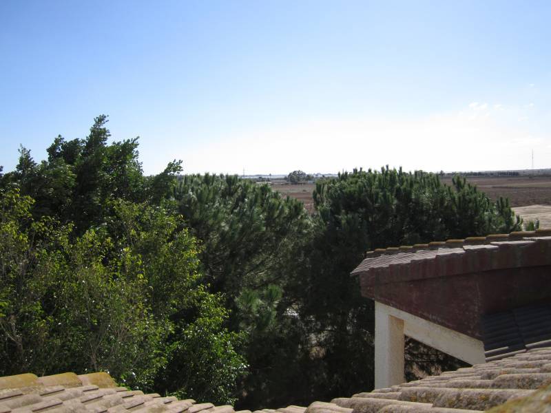 Re-sale - Villa - Elche