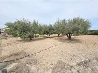 Re-sale - Country house - Aspe