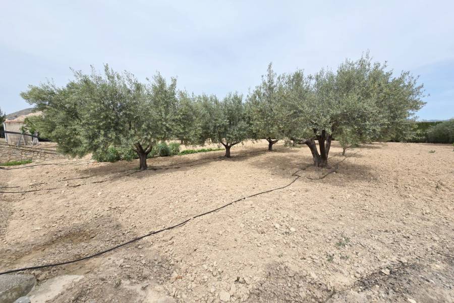 Re-sale - Country house - Aspe