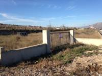 Venta - Plot - Hondon De Los Frailes