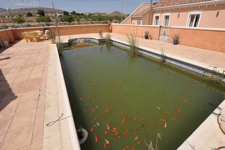 Re-sale - Country house - Pinoso