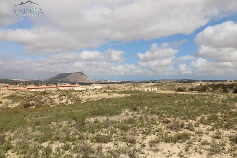 Re-sale - Plot - Monforte Del Cid - Monte Cid