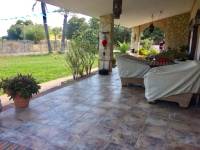Venta - Chalet - Elche  - Perleta