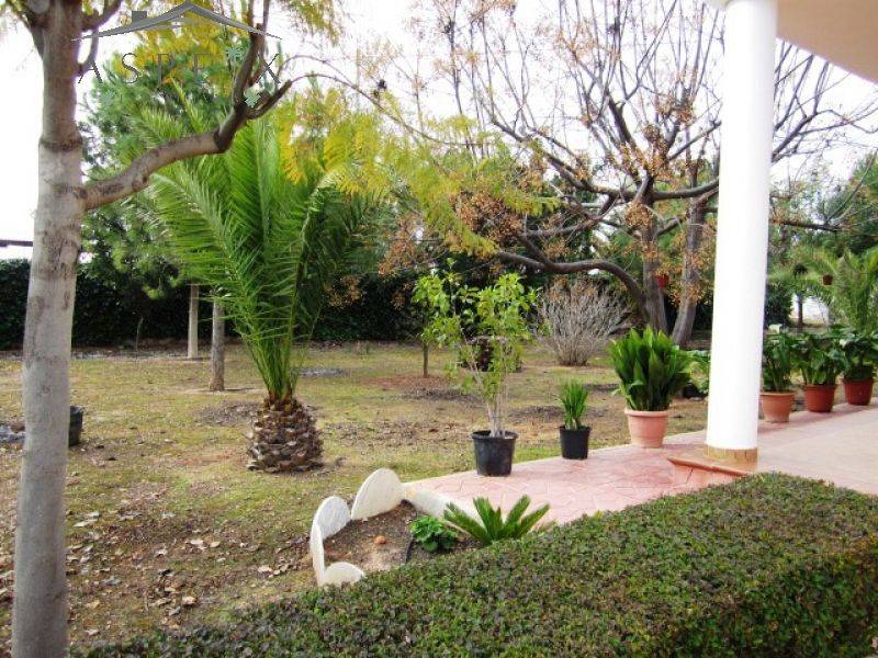Re-sale - Villa - Novelda - CASAS DE SALA