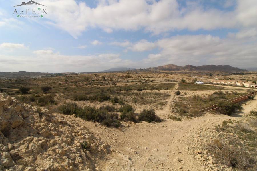 Re-sale - Plot - Monforte Del Cid - Monte Cid