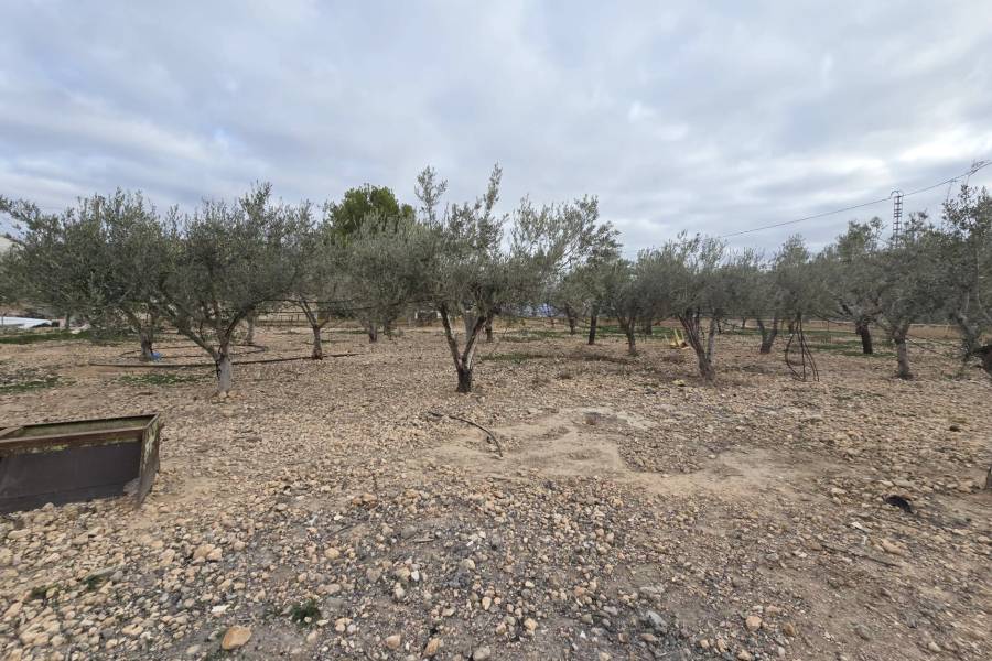 Venta - Casa de campo - Hondon De Las Nieves