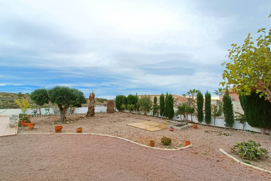 Re-sale - Country house - Albatera - ALBATERA