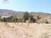 Re-sale - Country house - Hondon De Las Nieves - BAYON