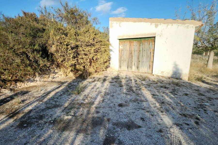 Venta - Casa cueva - Hondon De Las Nieves - LOS CALORES