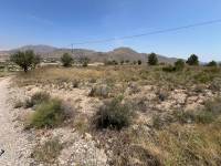 Venta - Plot - Barbarroja