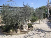 Re-sale - Villa - Elche