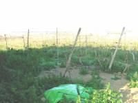 Re-sale - Country house - Aspe