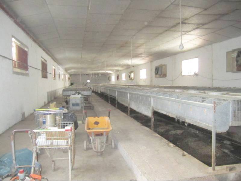 Re-sale - Country house - La Romana