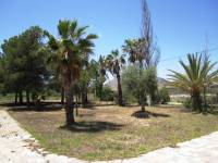 Venta - Casa de campo - Aspe