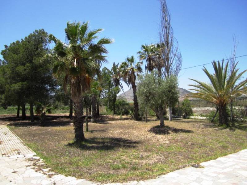 Venta - Casa de campo - Aspe