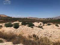 Re-sale - Plot - Monforte Del Cid - AMOLOIG