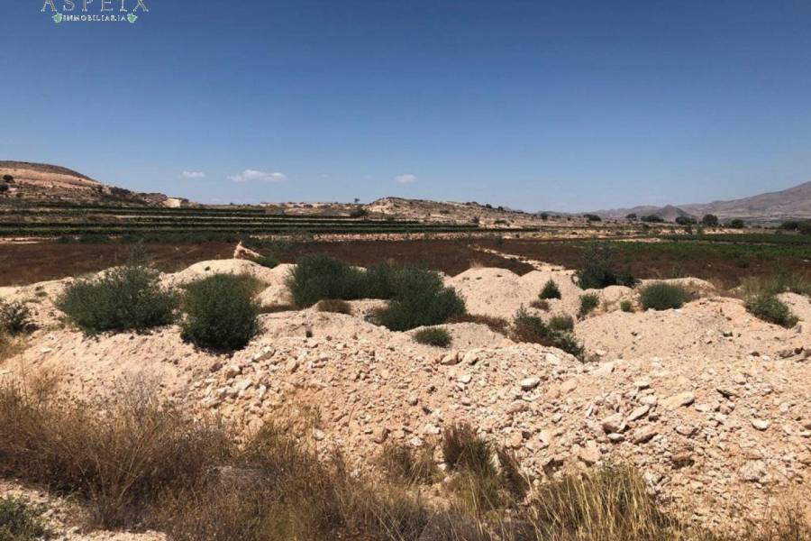 Re-sale - Plot - Monforte Del Cid - AMOLOIG