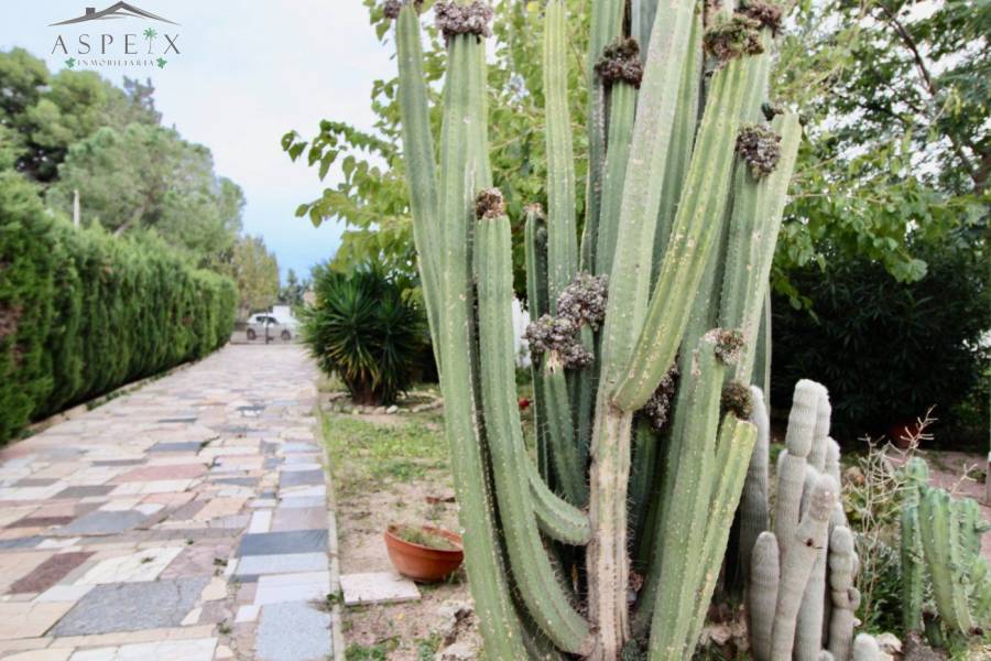 Re-sale - Villa - Monforte Del Cid - CAMINO DEL LLANO