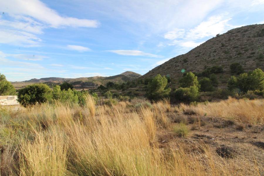 Venta - Casa de campo - Aspe - La ofra