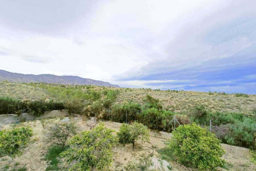 Re-sale - Country house - Albatera - ALBATERA