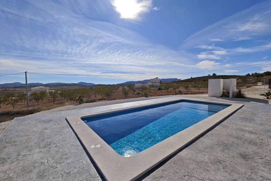 New Build - Country house - Pinoso