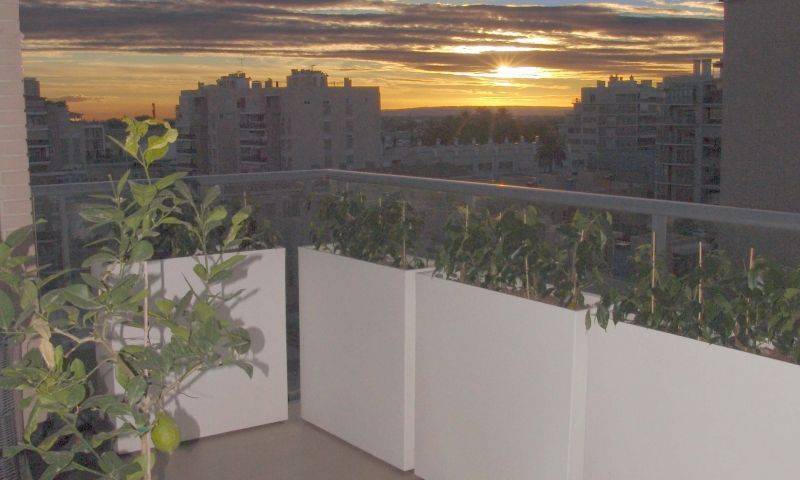 Venta - Apartamento - Elche