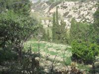 Venta - Chalet - Petrer - Loma badá