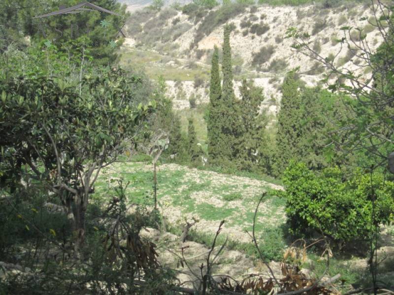 Venta - Chalet - Petrer - Loma badá