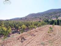 Re-sale - Country house - Hondon De Las Nieves - BAYON