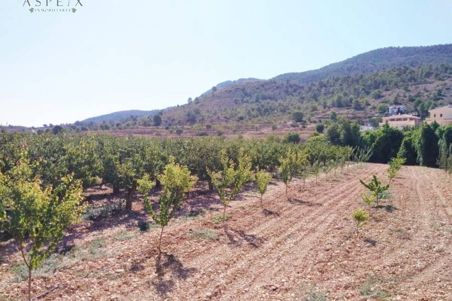 Re-sale - Country house - Hondon De Las Nieves - BAYON