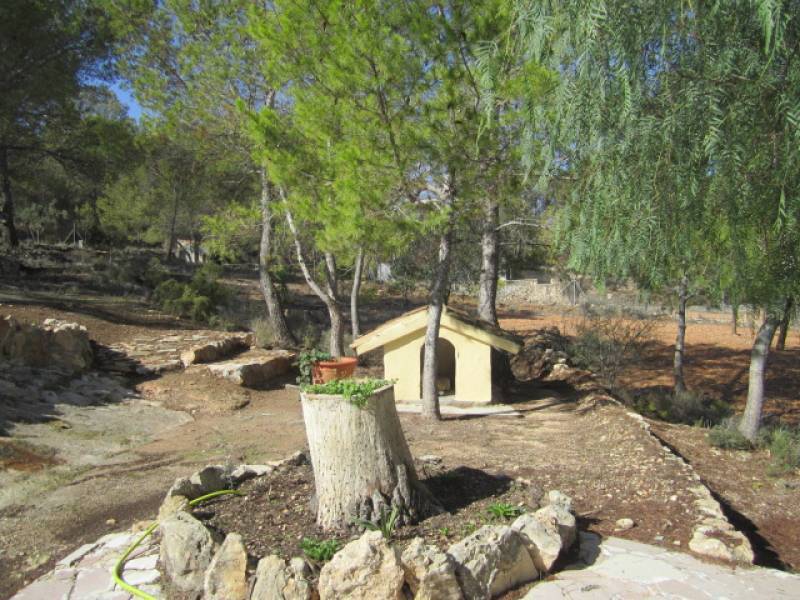 Re-sale - Country house - Hondon De Las Nieves - LA CANALOSA