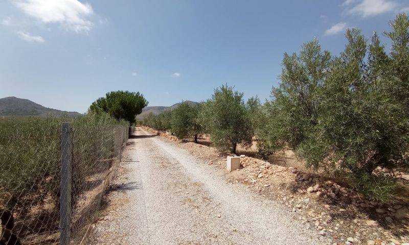 Venta - Casa cueva - Hondon De Las Nieves