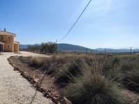 Venta - Casa de campo - Pinoso