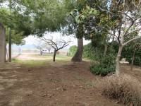 Venta - Casa de campo - Monovar