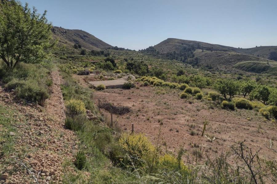 Re-sale - Plot - La Romana - ALGALLAT