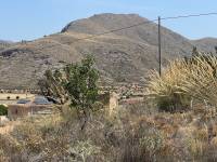 Venta - Plot - Barbarroja