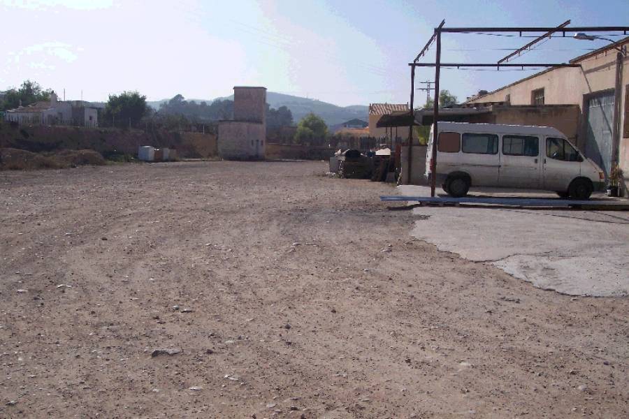 Re-sale -  - Aspe pedanias - El rabosero