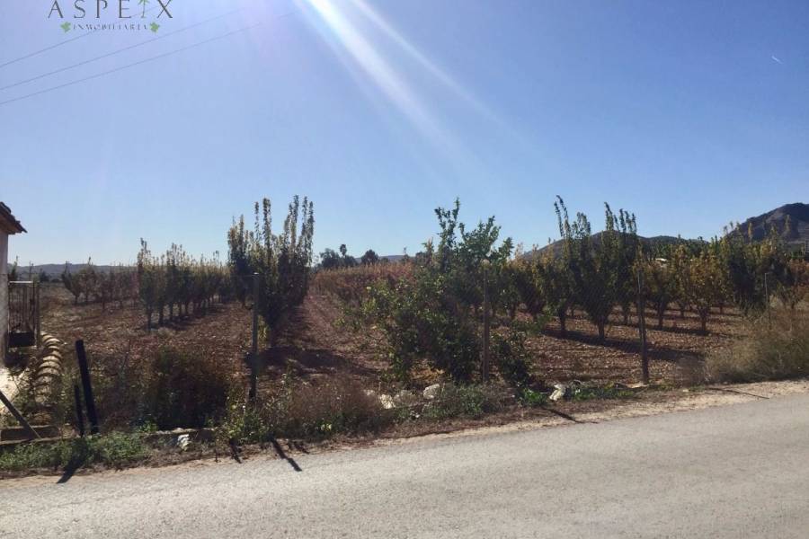 Venta - Casa de campo - Aspe  - Horna