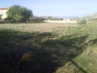 Venta - Casa de campo - Aspe