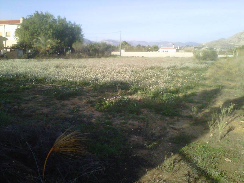 Venta - Casa de campo - Aspe