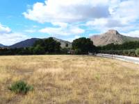 Venta - Casa de campo - Aspe