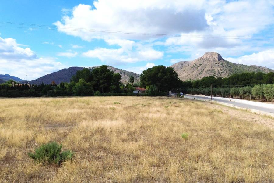 Venta - Casa de campo - Aspe