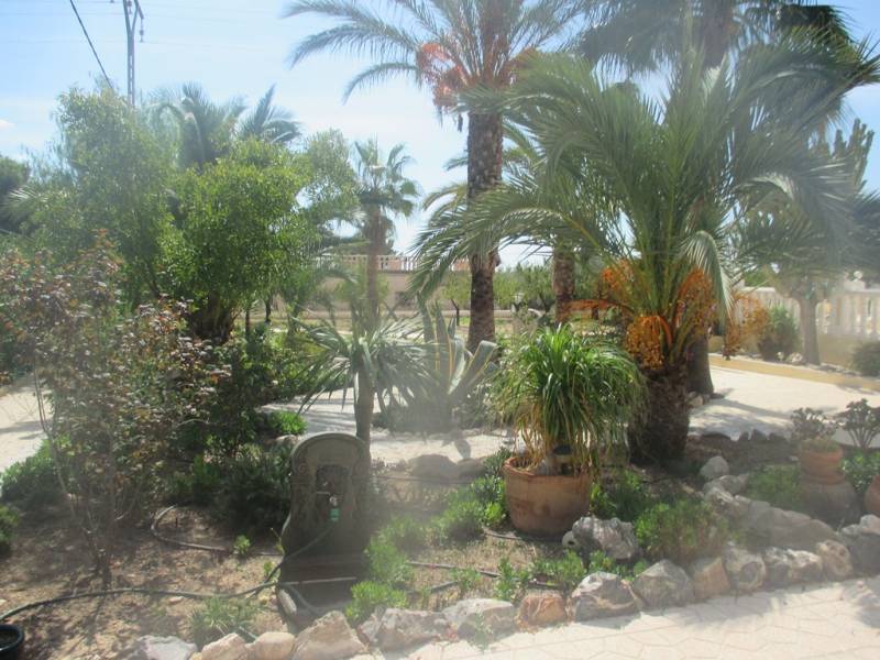 Venta - Chalet - Albatera - ALBATERA