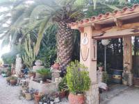 Re-sale - Country house - Novelda - CAMPET