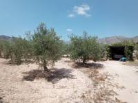 Re-sale - Cave house - Hondon De Las Nieves