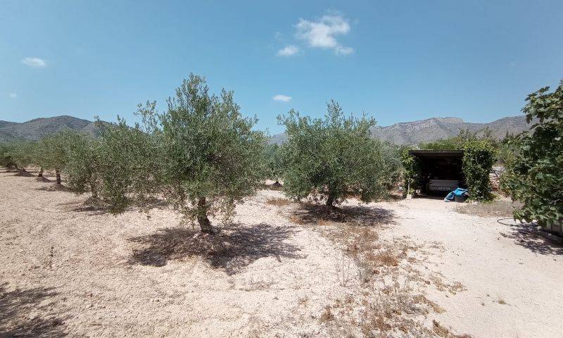 Re-sale - Cave house - Hondon De Las Nieves