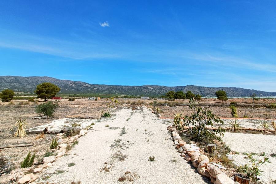 Venta - Casa de campo - Pinoso